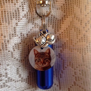 May include: A blue metal keychain with a photo of a tabby cat and a silver charm of a cat curled up.