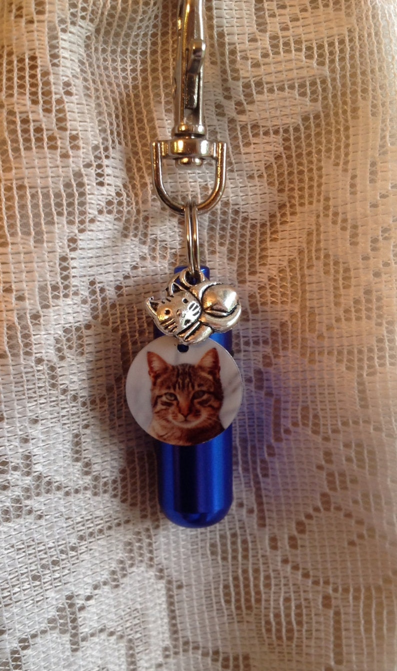 May include: A blue metal keychain with a photo of a tabby cat and a silver charm of a cat curled up.