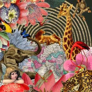 Carte d'art Animal Planet par Sue Churchill, carte vierge, carte de voeux, carte de remerciement, notelet