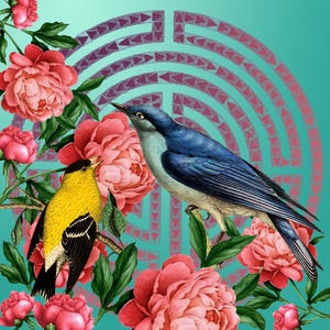 Chanson du matin At The Labyrinth By Sue Churchill Carte d'art, carte vierge, carte de voeux, carte de remerciement, notelet