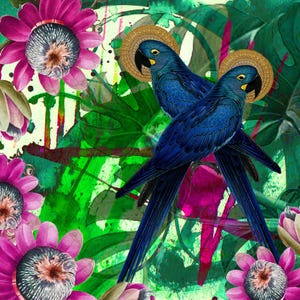Kolekcja Birds of a Feather - zestaw 8 kartek artystycznych, zestaw kartek okolicznościowych, zestaw kartek z podziękowaniami, zestaw pustych kartek, notesiki