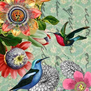 Hummingbird & Passionflower por Sue Churchill Cartão de arte, cartão em branco, cartão de felicitações, cartão de agradecimento, bloco de notas