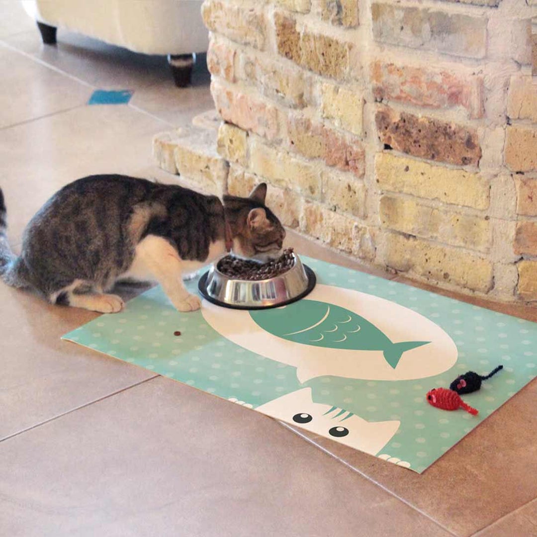 Cat food mat with lip online