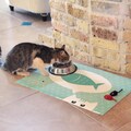 Cat food placemat in turquoise, vinyl Pet Mat, Hungry cat illustration with fish. cat placemat // pet food mat // cat mat // Easy Clean Up. product logo