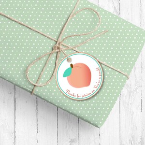 Peach Favor Tags (set of 24) - Sweet as a Peach