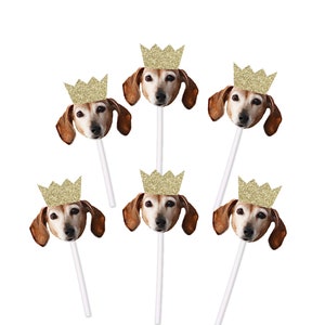 Dog Birthday Cupcake Toppers with Face and Gold Glitter Crown - Pet Cat Puppy Party Bday, Let's Pawty, Doggy, Bachelorette