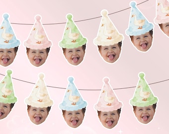 Un cartel de "Un ganso tonto" y decoraciones de fiesta a juego / Decoración para el primer cumpleaños