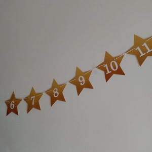 Twinkle Twinkle Little Star Bannière mensuelle pour le premier anniversaire Garland, Cake Smash, 1er bday image 6