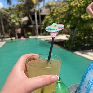 Cinco de mayo cocktail stirrers with face and sombrero
