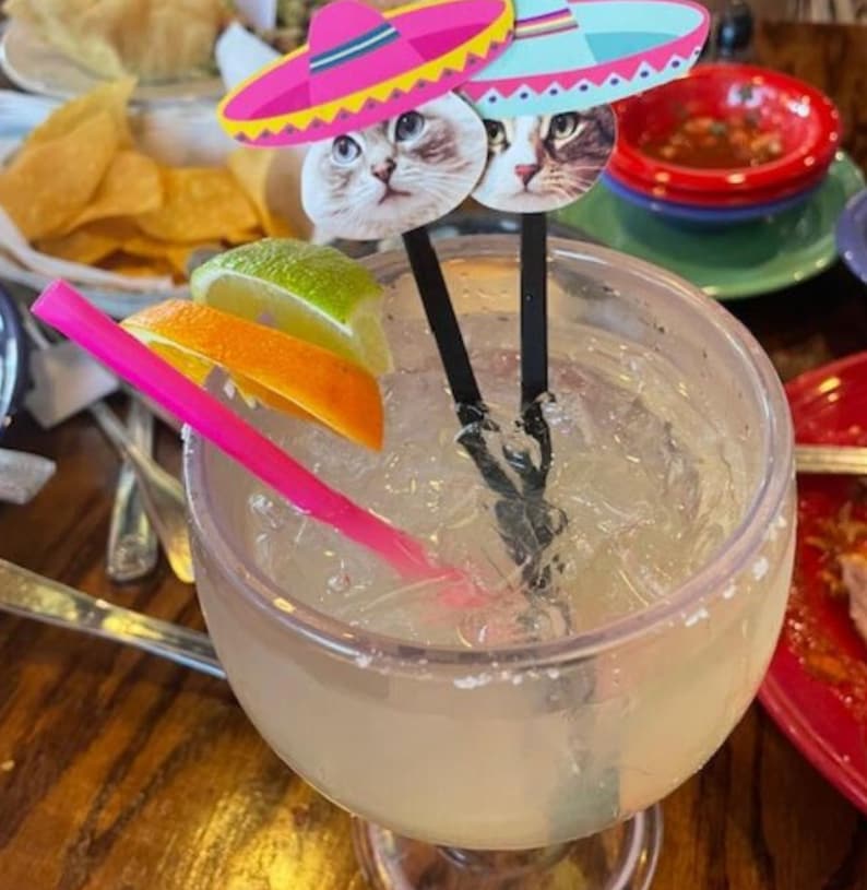 Op de afbeelding: Een margaritacocktail met een roze rietje en twee cocktailprikkers met een kattenmotief. De prikkers tonen een kat met een roze sombrero en een kat met een blauw-witte sombrero.