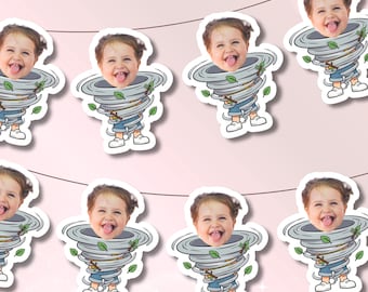 Two-nado Birthday Banner | Little Twonado Face Decor | 2nd birthday theme Party Decorations