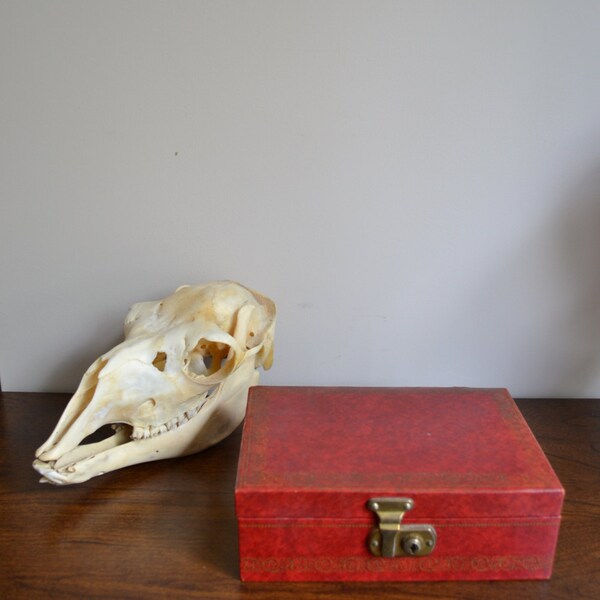 20% OFF SALE Vintage Red Jewelry Box