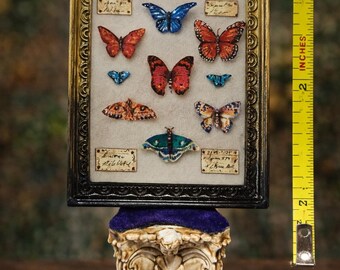 May include: A framed display of butterflies in shades of red, blue, and orange. The frame is approximately 7.6 cm tall and is supported by a decorative column. Small labels are positioned below some of the butterflies, adding to the display's detail.