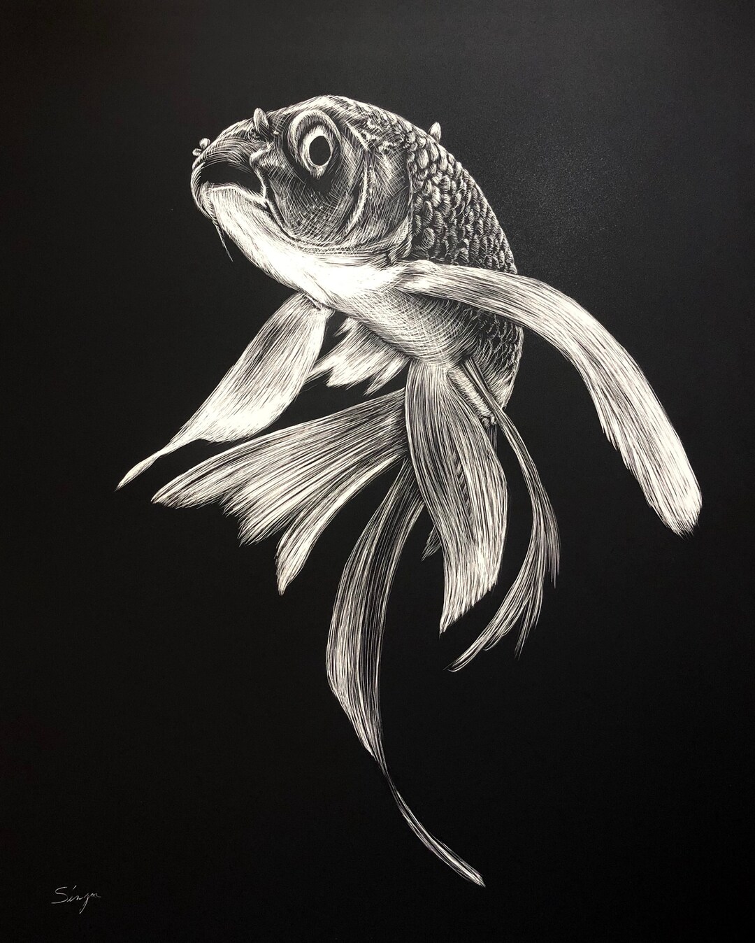 Butterfly Koi Original Scratchboard Illustration Etsy