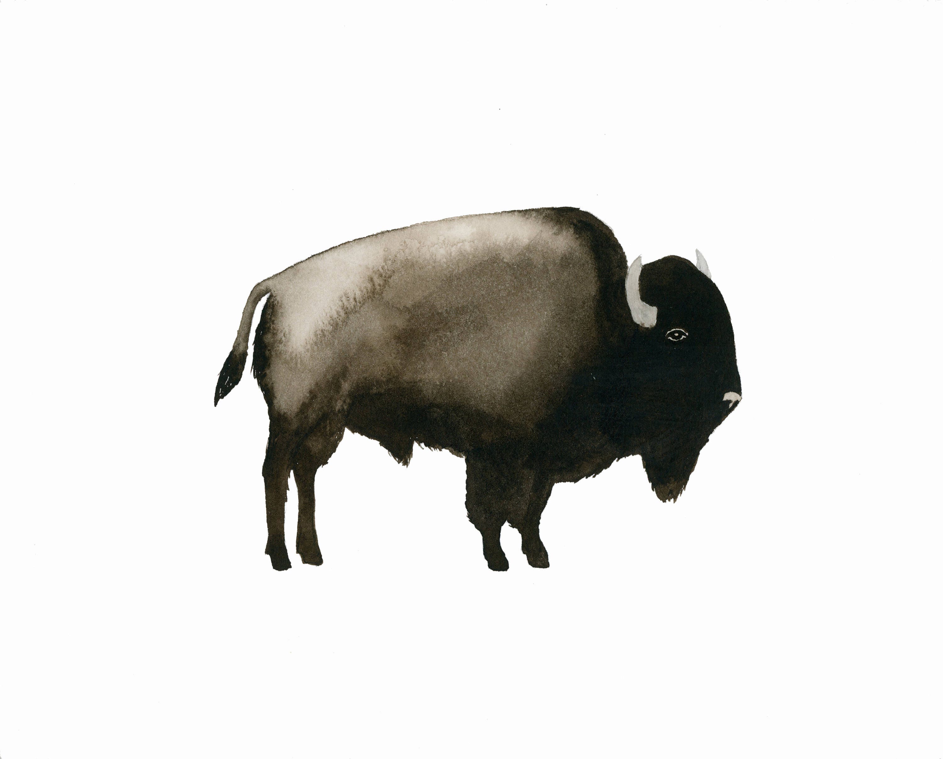 Watercolor Buffalo Art Print Southwestern Nursery Decor Boy Etsy
