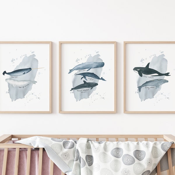 Whale Nursery Decor, Boy Nautical Decor,  Watercolor Nautical Nursery, Watercolor Collection, Waves in the Sea, Under the Sea Wall Art