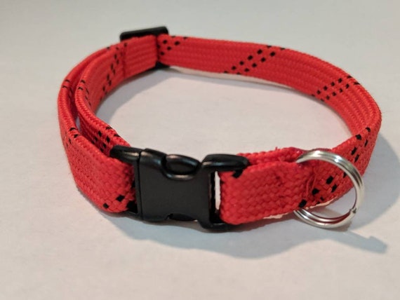 hockey lace dog collar