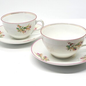 Haviland Moss Rose Cup and Saucer Pink Trim Antique 1800s Tea Cup Teacup