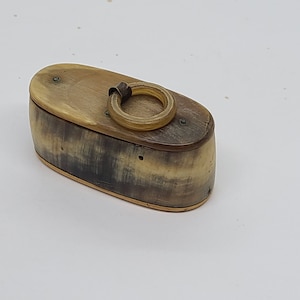 Antique Bull Horn Snuff Box Tobacco Holder Large France