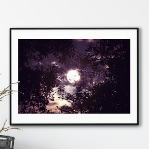 Plum Moon Photography Art Print - Home Decor - Gothic - Trees - Fairy Tale - Full Moon