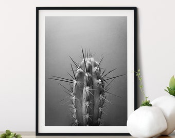 Cactus Black And White Photography Wall Art Print, Cactus Poster Print, Cactus Plant, Black And White Print, Desert Art, Cacti Print