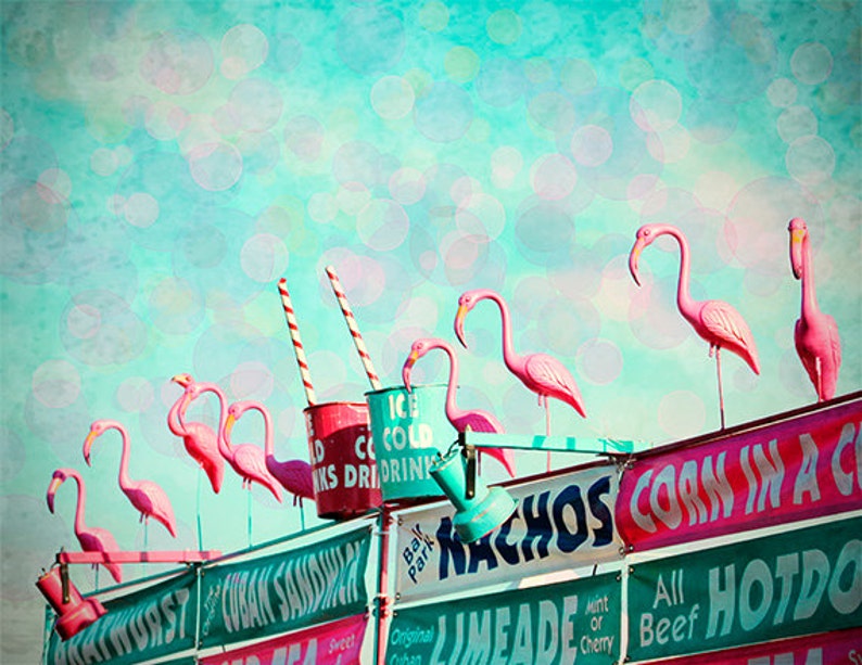 Flamingos Photography Art Print Pink Flamingo Circus Art | Etsy