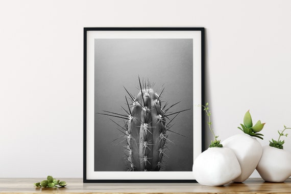 Cactus Black and White Photography Wall Art Print Cactus | Etsy
