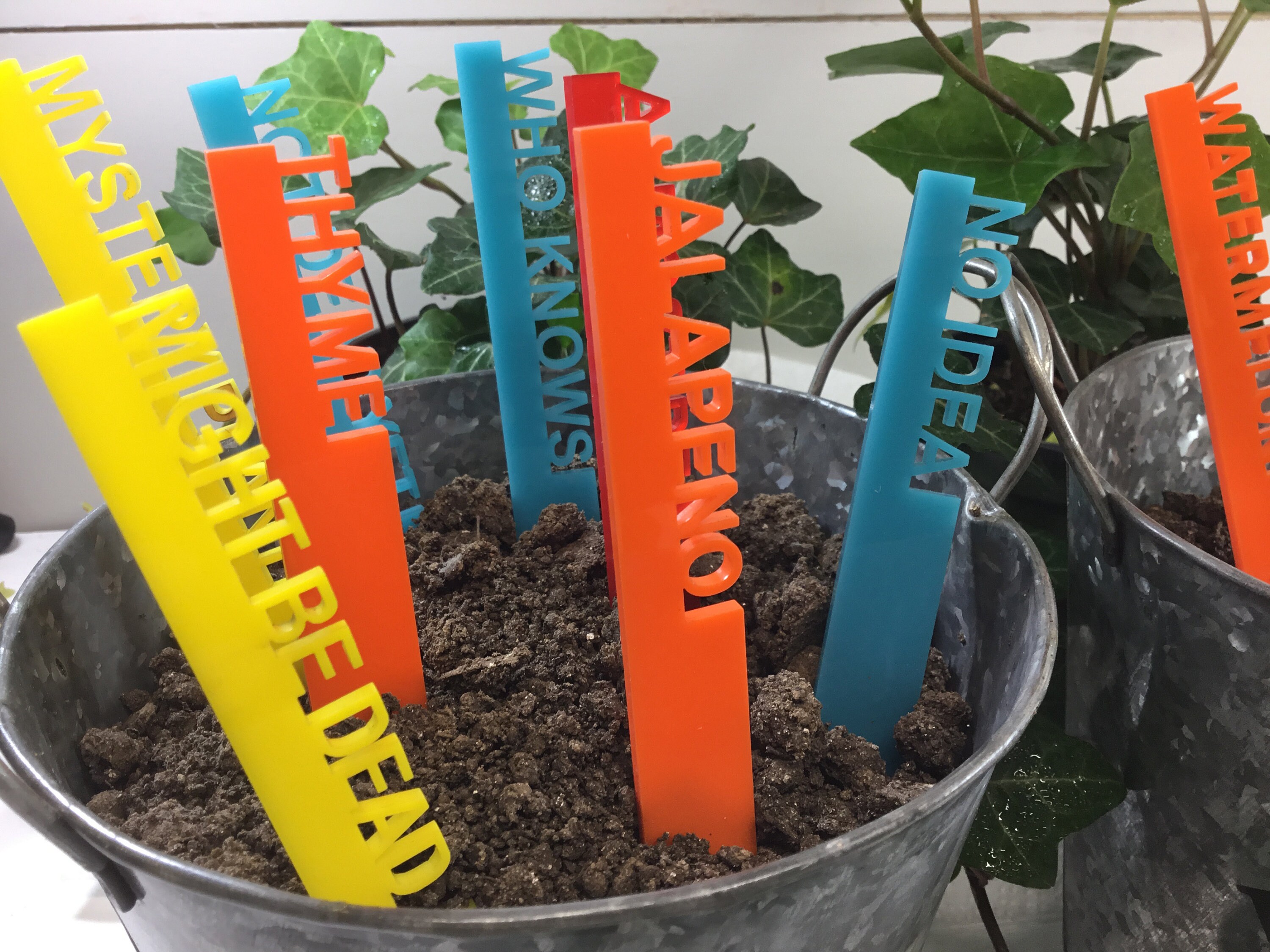 Acrylic Plant Markers Acrylic Garden Markers Garden Stakes Etsy