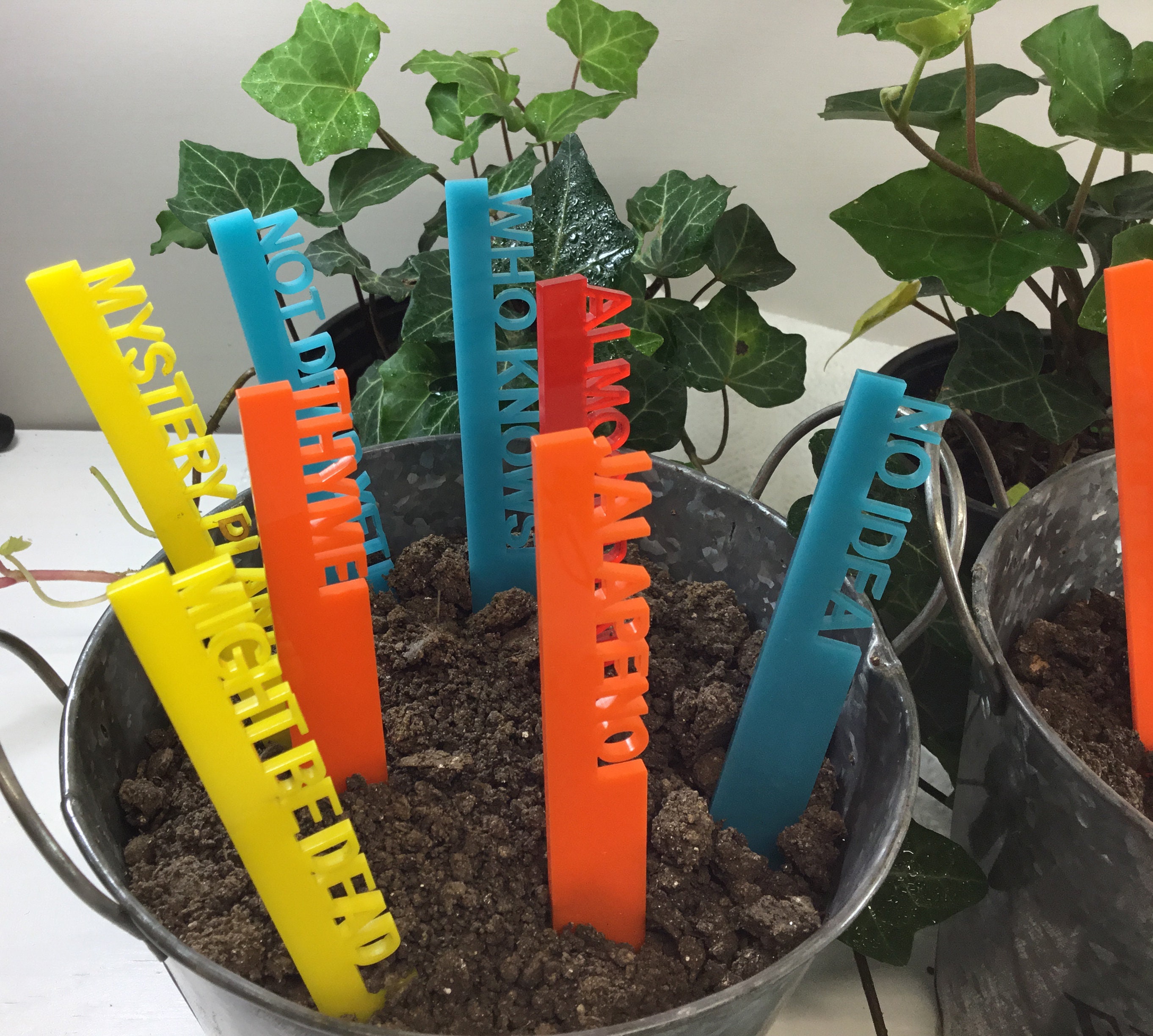 Acrylic Plant Markers Acrylic Garden Markers Garden Stakes Etsy