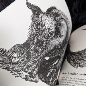 Ilustrowana antologia mitologii niemieckiej: Krampus, Szczurołap, Lorelei, Dildappe i inni. Książka dla dzieci i dorosłych zdjęcie 4