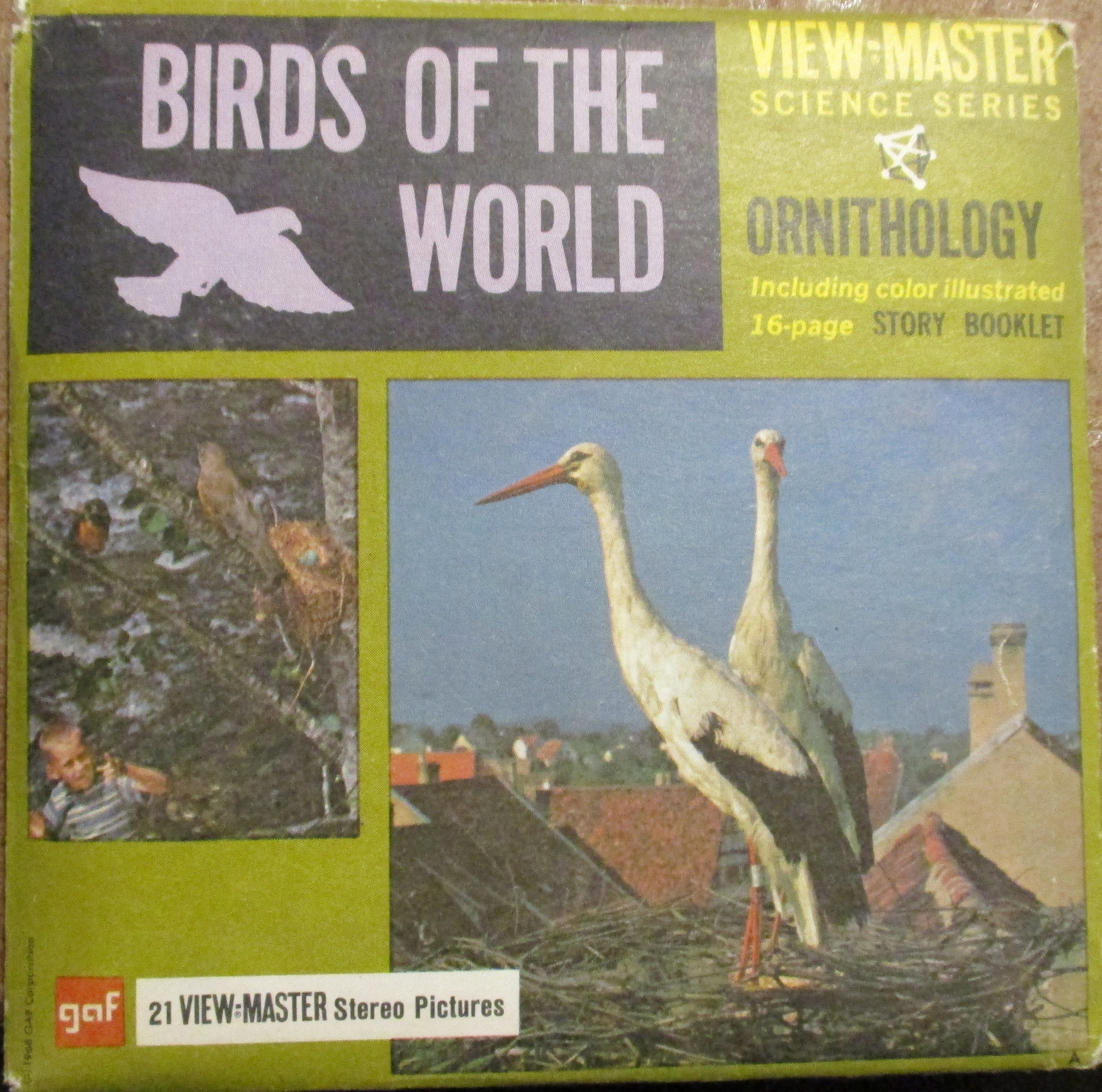 Birds, Fish & Insects View-master Reels - Etsy
