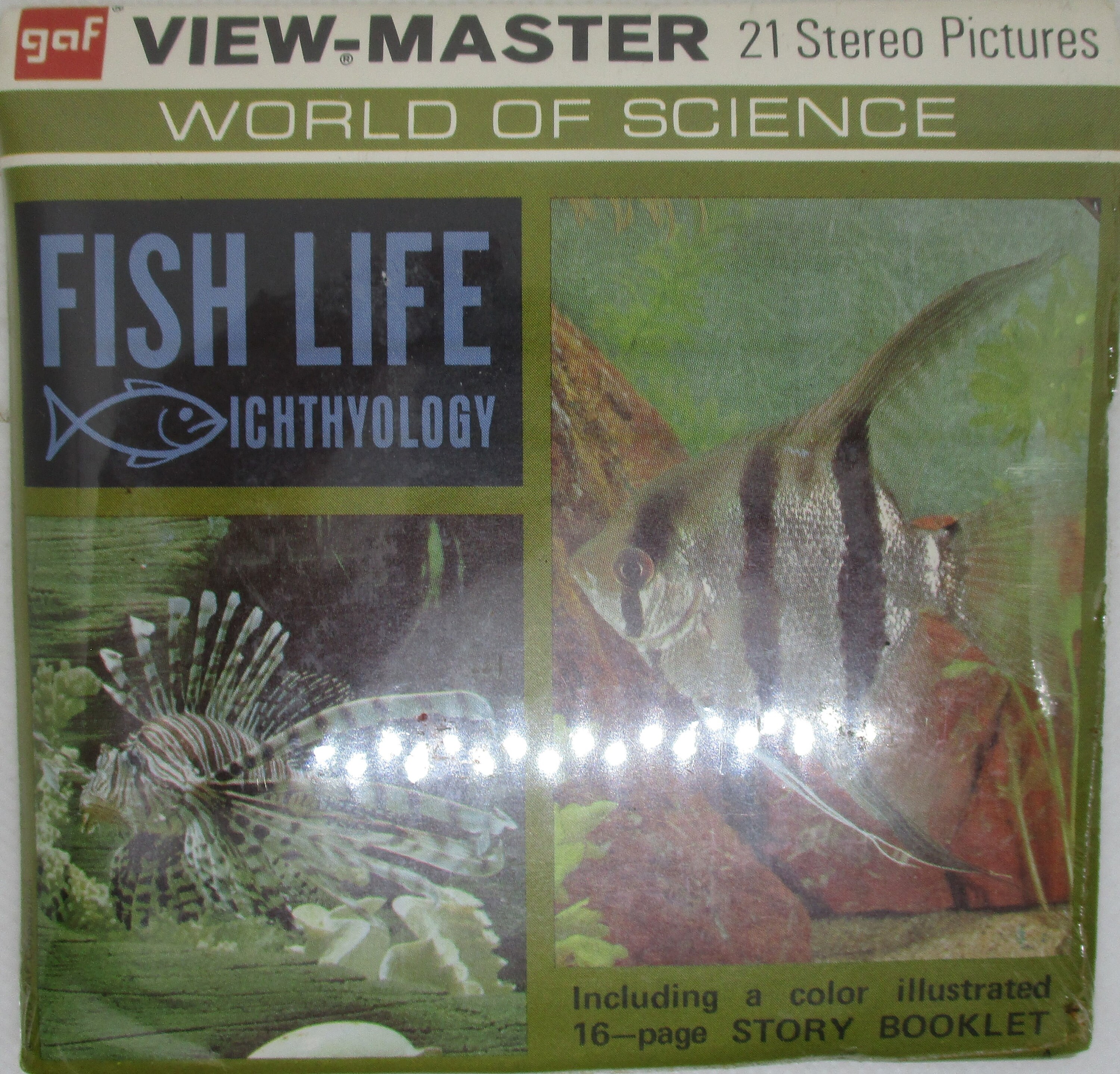 Birds, Fish & Insects View-master Reels - Etsy