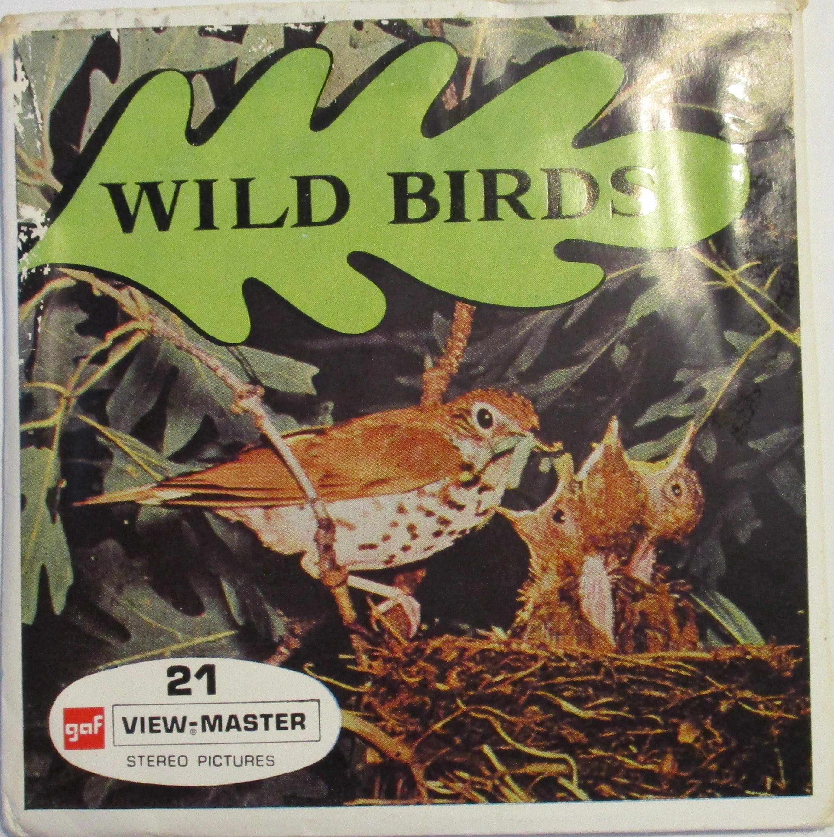 Birds, Fish & Insects View-master Reels - Etsy