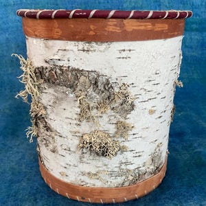 May include: Cylindrical birch bark container with a natural, textured surface. The container features a dark red and white striped rim and a brown band at the top and bottom. Patches of moss add to the rustic aesthetic.