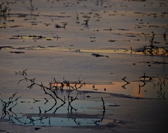 Abstract Landscape, Ice Lake, Fine Art Photograph, Nature Photo, Home Decor