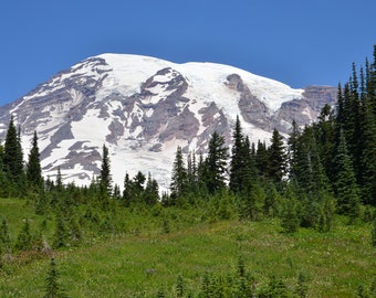 Mount Rainier National Park Mountains, Fine Art Photograph, Home Decor, Landscape  Photograph, Rustic