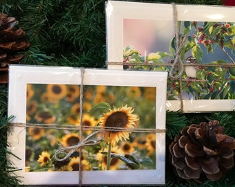 Handmade photo card set. 4 cards. Greeting card, Beautiful unique gift, flower photo cards, bird photos cards, and custom sets available.