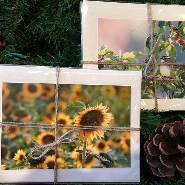 Handmade photo card set. 4 cards. Greeting card, Beautiful unique gift, flower photo cards, bird photos cards, and custom sets available.