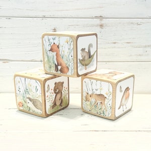 May include: Three wooden blocks with woodland animal illustrations. Each block features a different animal: a fox, squirrel, bear, deer, hedgehog, and robin. The illustrations are set against a backdrop of wildflowers and greenery.