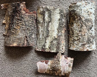 4 Pieces of Birch bark for crafts