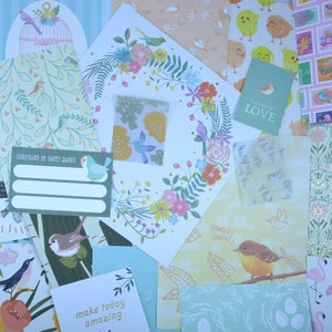 Kit de journal sur le thème des oiseaux. 50 pièces, y compris du papier, des autocollants et du ruban adhésif washi. Des créations uniques et conçues pour les ornithologues amateurs et les amoureux de la nature.