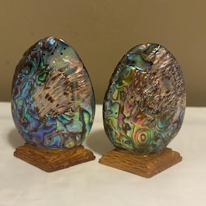 May include: Two iridescent abalone shell salt and pepper shakers. The shakers are oval-shaped and mounted on small, square wooden bases. The shells display a range of colors, including blue, green, and gold.