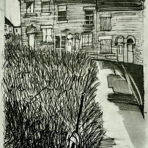 Prairie urbaine (rue Jervis)