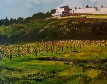 Vineyards at Gevrey Chambertin