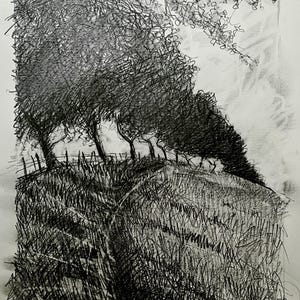 Peut inclure: Dessin au crayon noir et blanc d'un paysage avec des arbres sur une colline herbeuse. L'œuvre utilise une technique de hachures croisées pour créer de la texture et de la profondeur, avec une clôture visible en arrière-plan. Le ciel est légèrement ombragé.