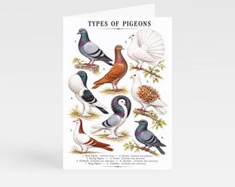 Tarjeta de regalo con tipos de palomas