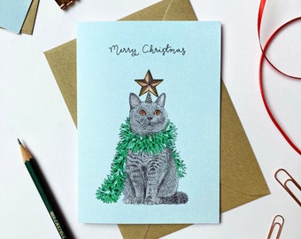 British Shorthair Cat Christmas Card