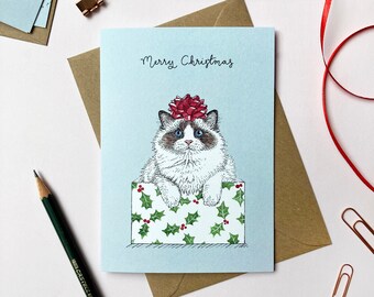 May include: A blue Christmas card with the text "Merry Christmas" and a white cat with a red bow on its head sitting in a box with a holly pattern.