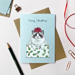Carte de Noël chat Ragdoll