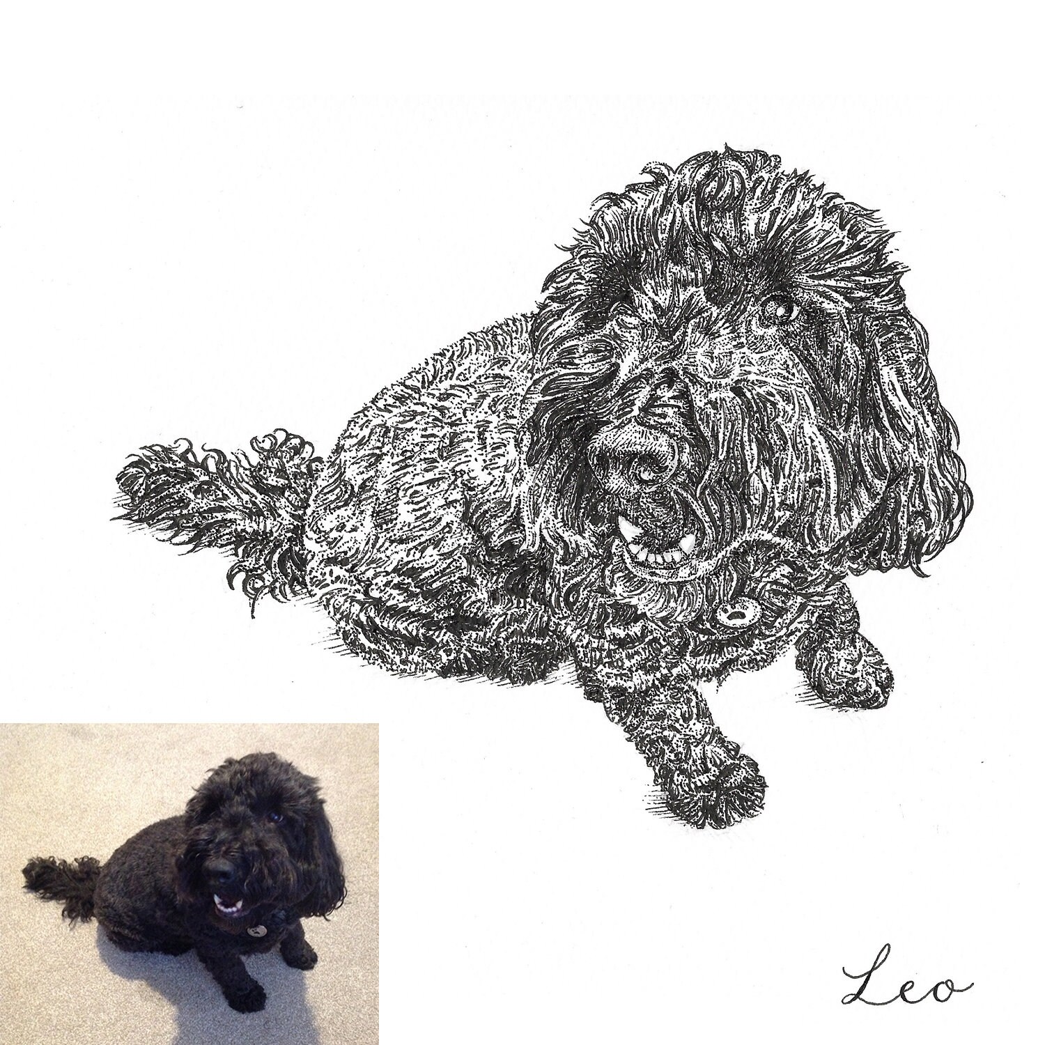 Personalised Pen and Ink Pet Portrait With Name - Etsy